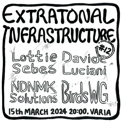 Flyer of the event Extratonal Infrastructure #12: Lottie Sebes, Davide Luciani, NDNMK Solutions and Birds WG